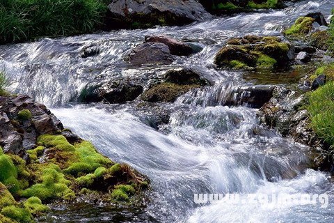 梦见溪水